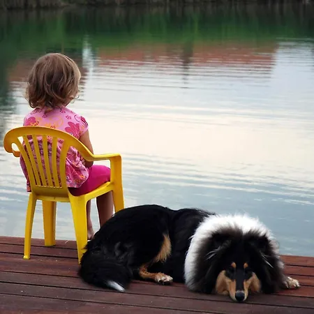 12 Person In 펜션 오텐도르프